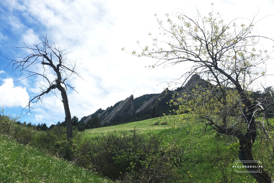 things to do in boulder colorado