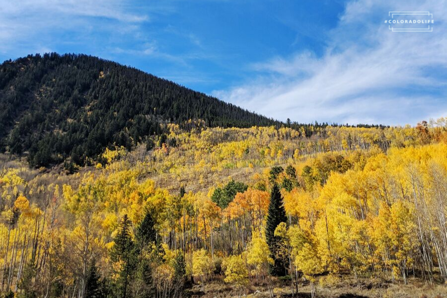 What Fall in Colorado is Really Like: 5 Ways to Enjoy Vibrant Colors