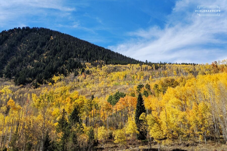 fall in colorado