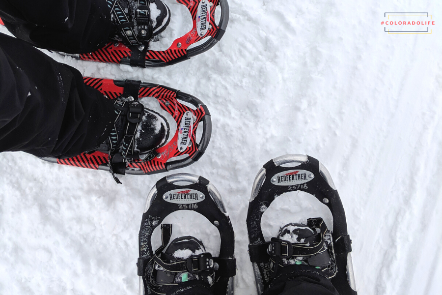 colorado snowshoeing