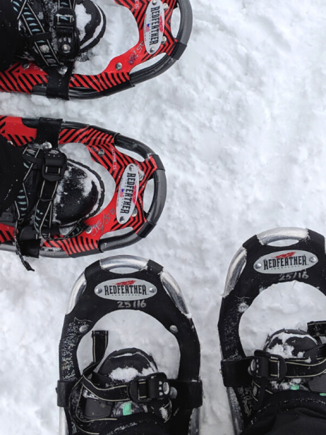 colorado snowshoeing