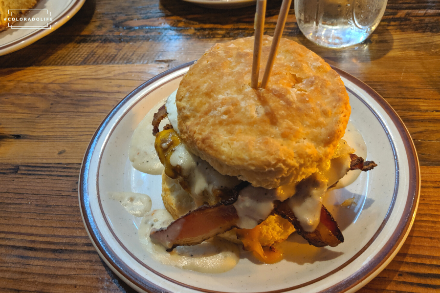 denver biscuit company colorado