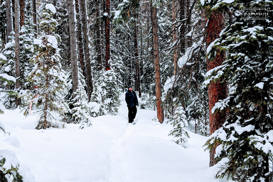 snowshoeing in colorado