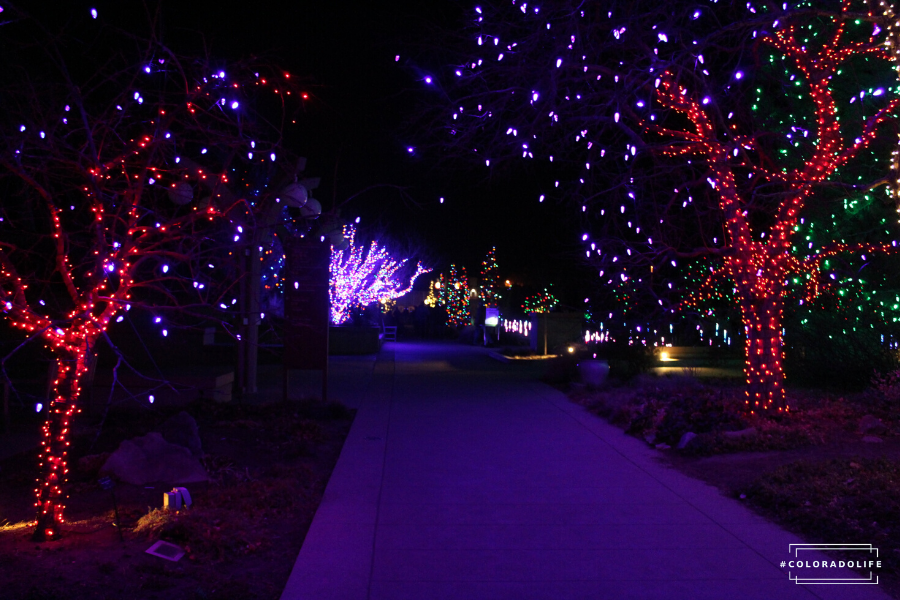 blossoms of light Denver