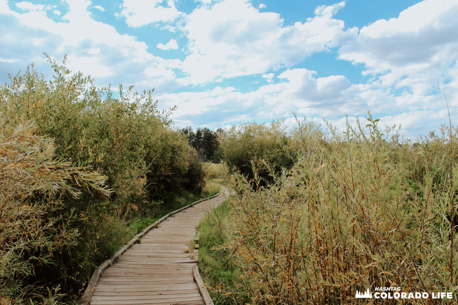 centennial trail