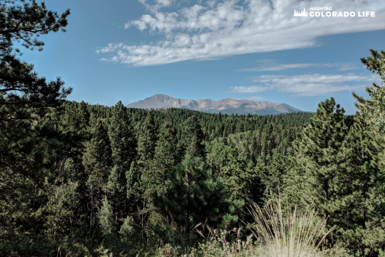 21 Best Things to Do in Woodland Park From a Colorado Local