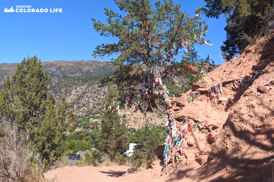 annies wishing tree colorado