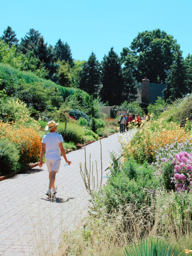 Planning a Denver Botanic Gardens Trip in 2023