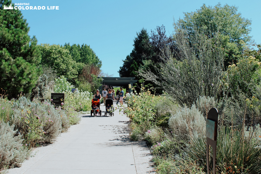 denver botanic gardens walking paths