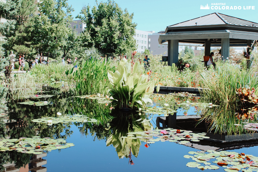 denver botanic japanese gardens