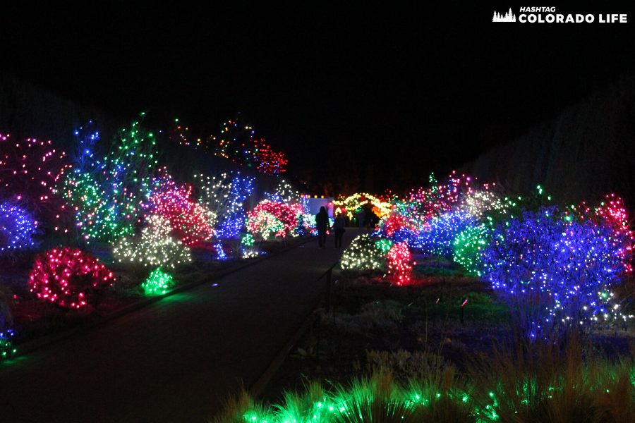 denver gardens blossoms of light