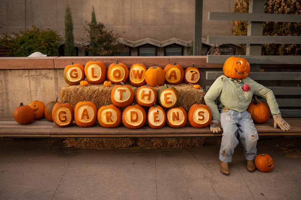 21 Fall Festivals & Autumn Events to Visit in Colorado in October