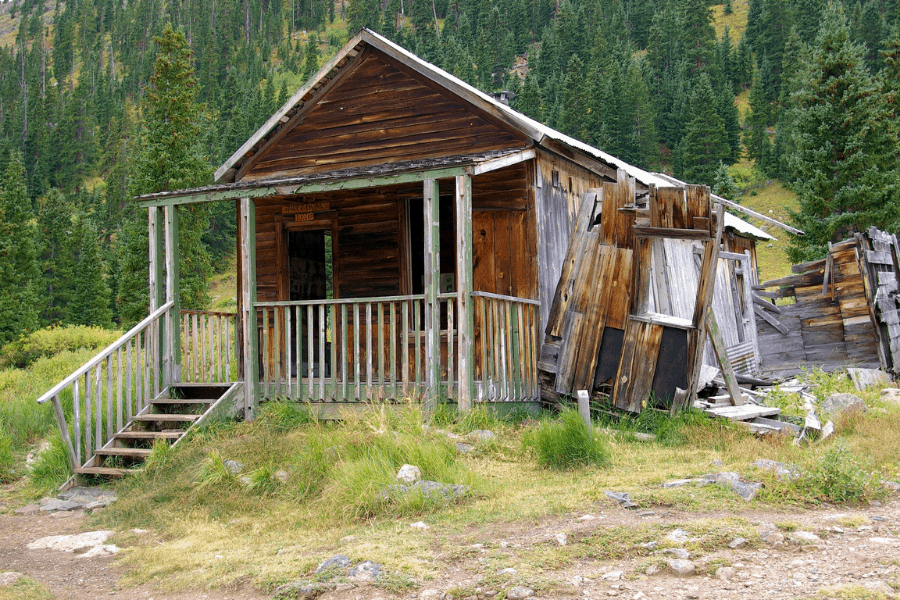 animas forks colorado