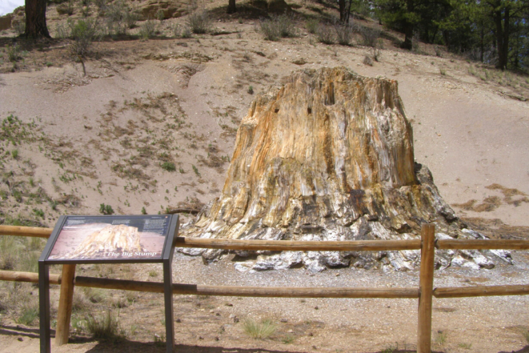 21-best-things-to-do-in-woodland-park-from-a-colorado-local