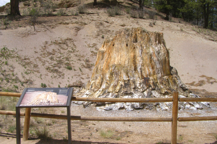 florissant fossil beds colorado