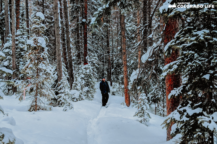 winter snowshoeing in colorado