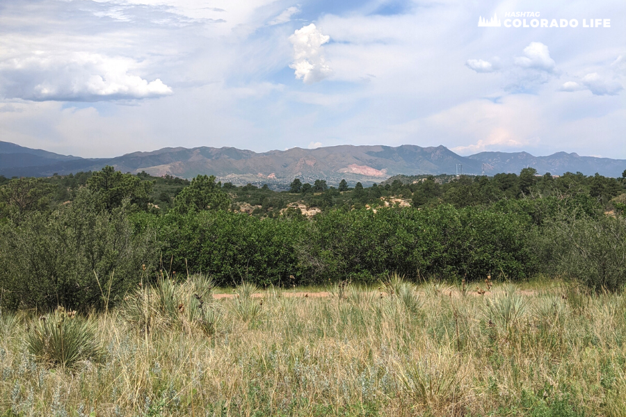 palmer park colorado springs