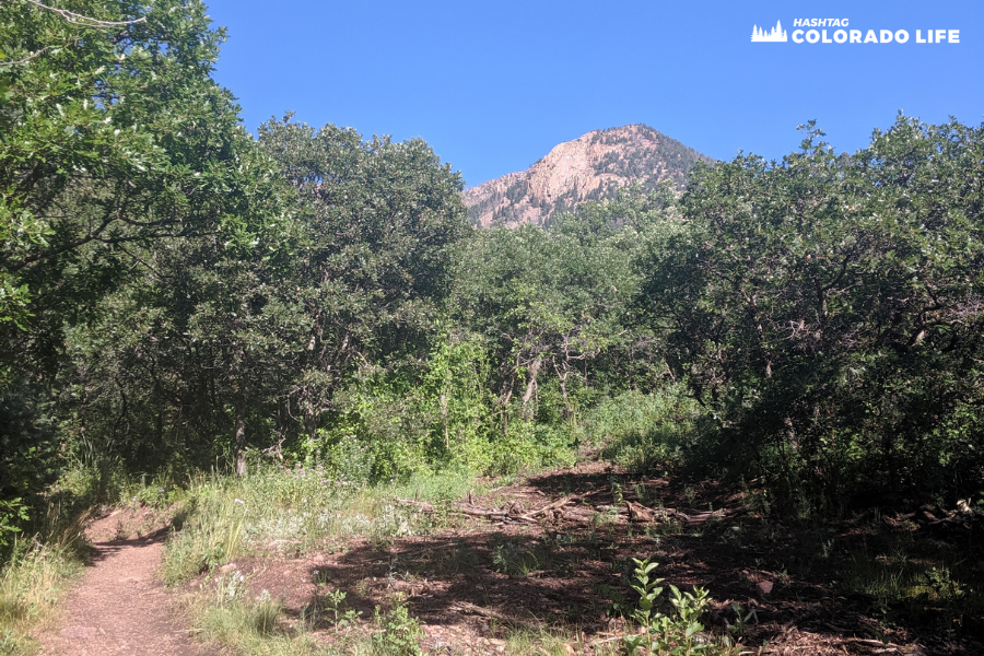 blodgett peak trailhead