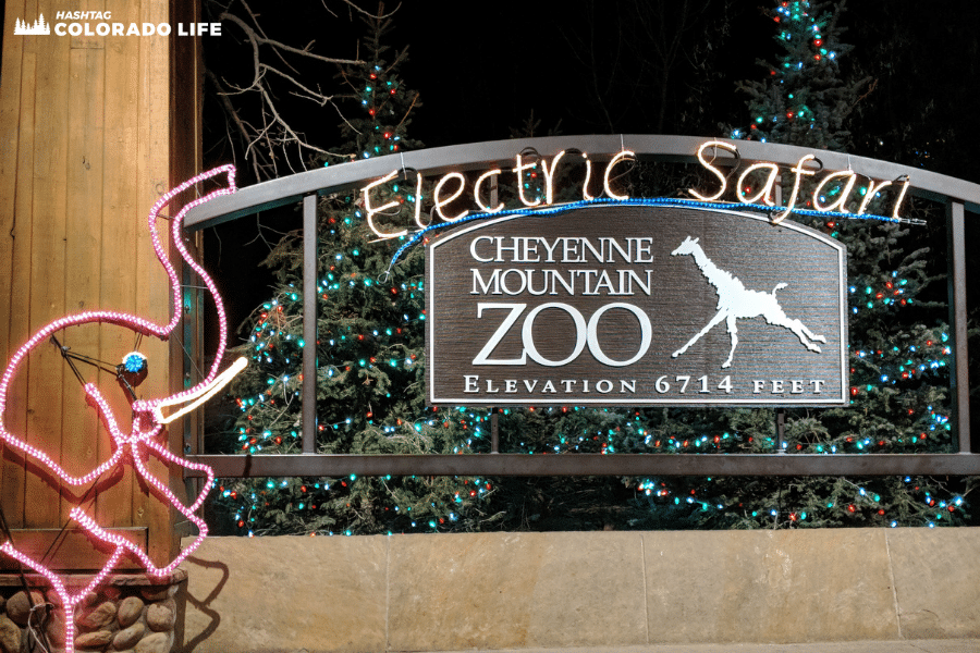 cheyenne mountain zoo - electric safari