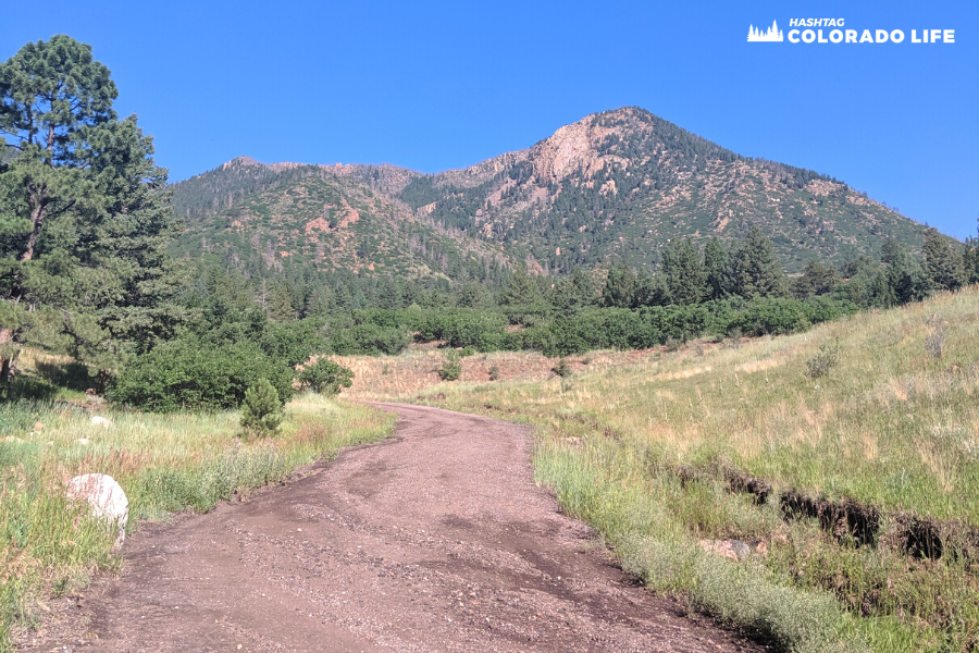 climb up to blodgett peak