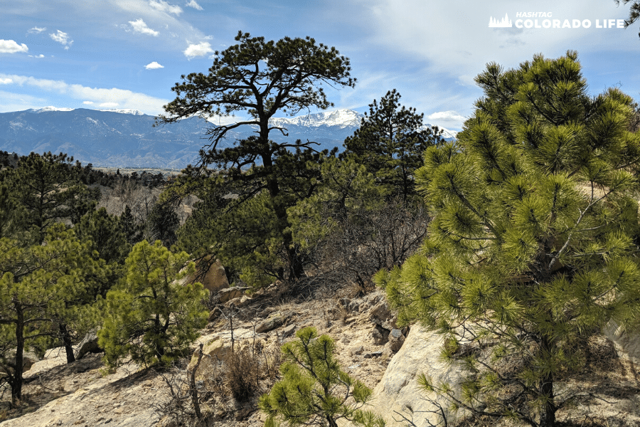 Hiking Austin Bluffs Open Space in Colorado Springs: A Local’s Guide