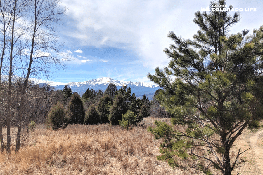 austin bluffs pikes peak view