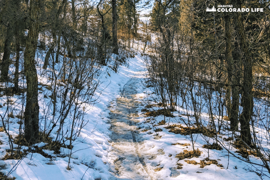 austin bluffs snowy hiking tips