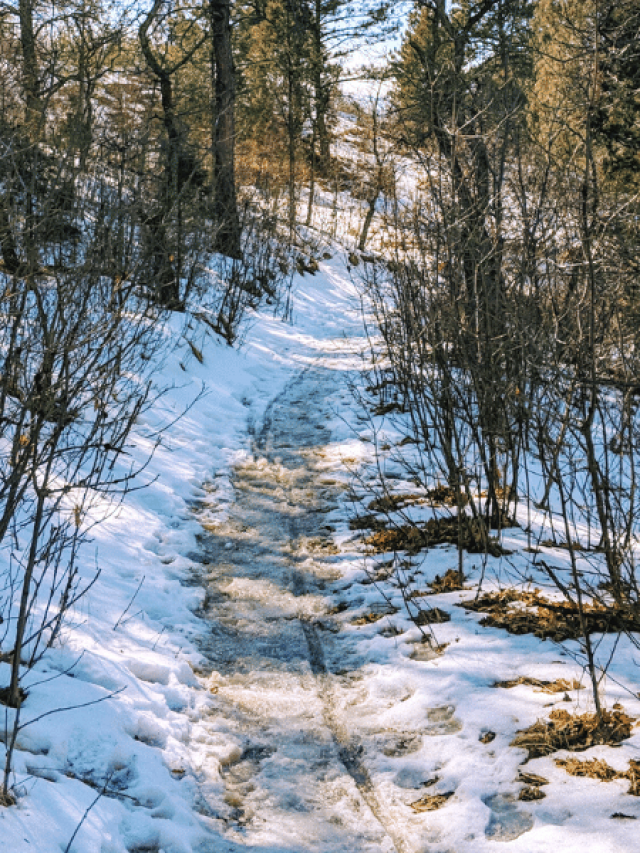 austin bluffs snowy hiking tips