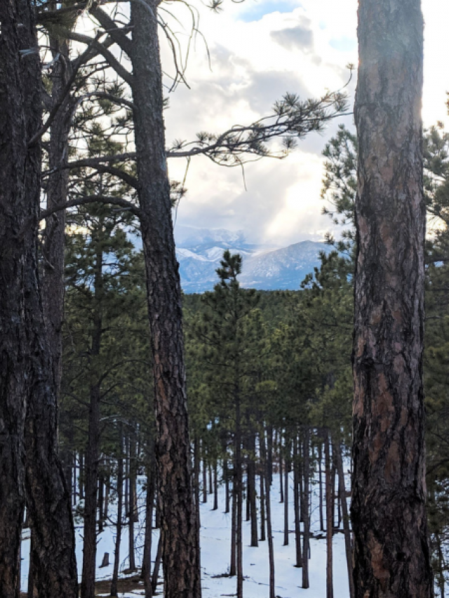 hiking black forest colorado