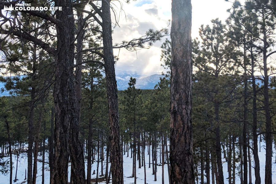 hiking black forest colorado