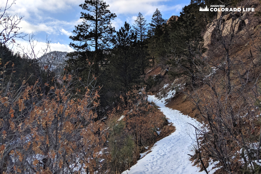 north cheyenne cañon park trails