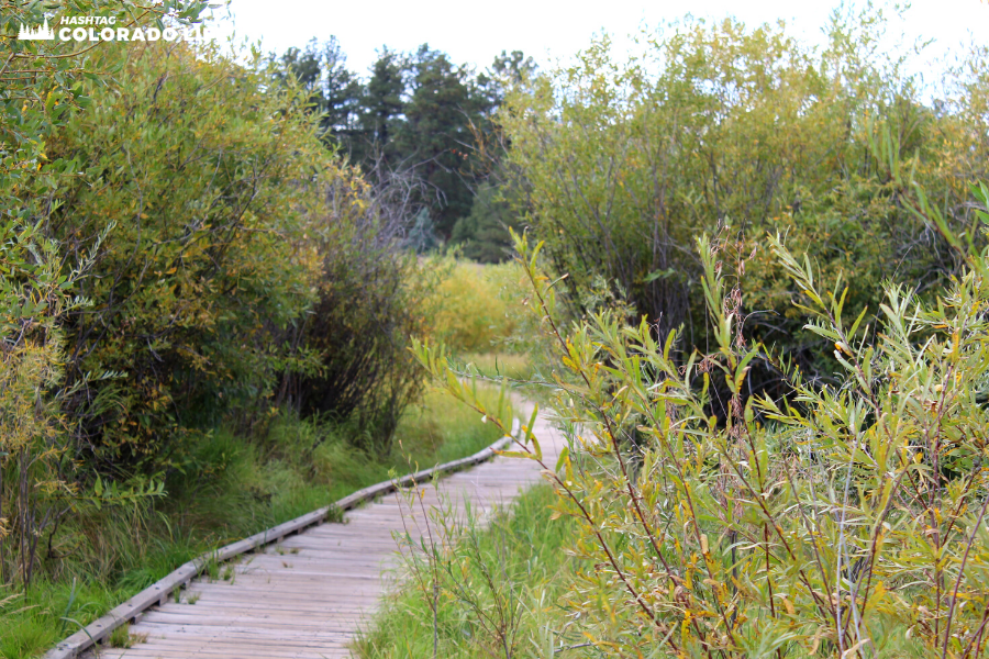 manitou lake park trail