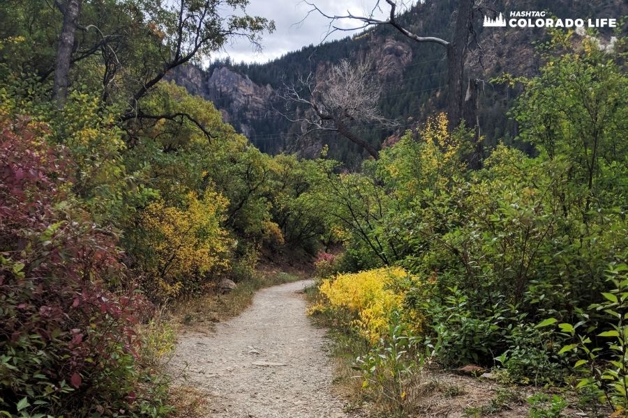 grizzly creek trail colors