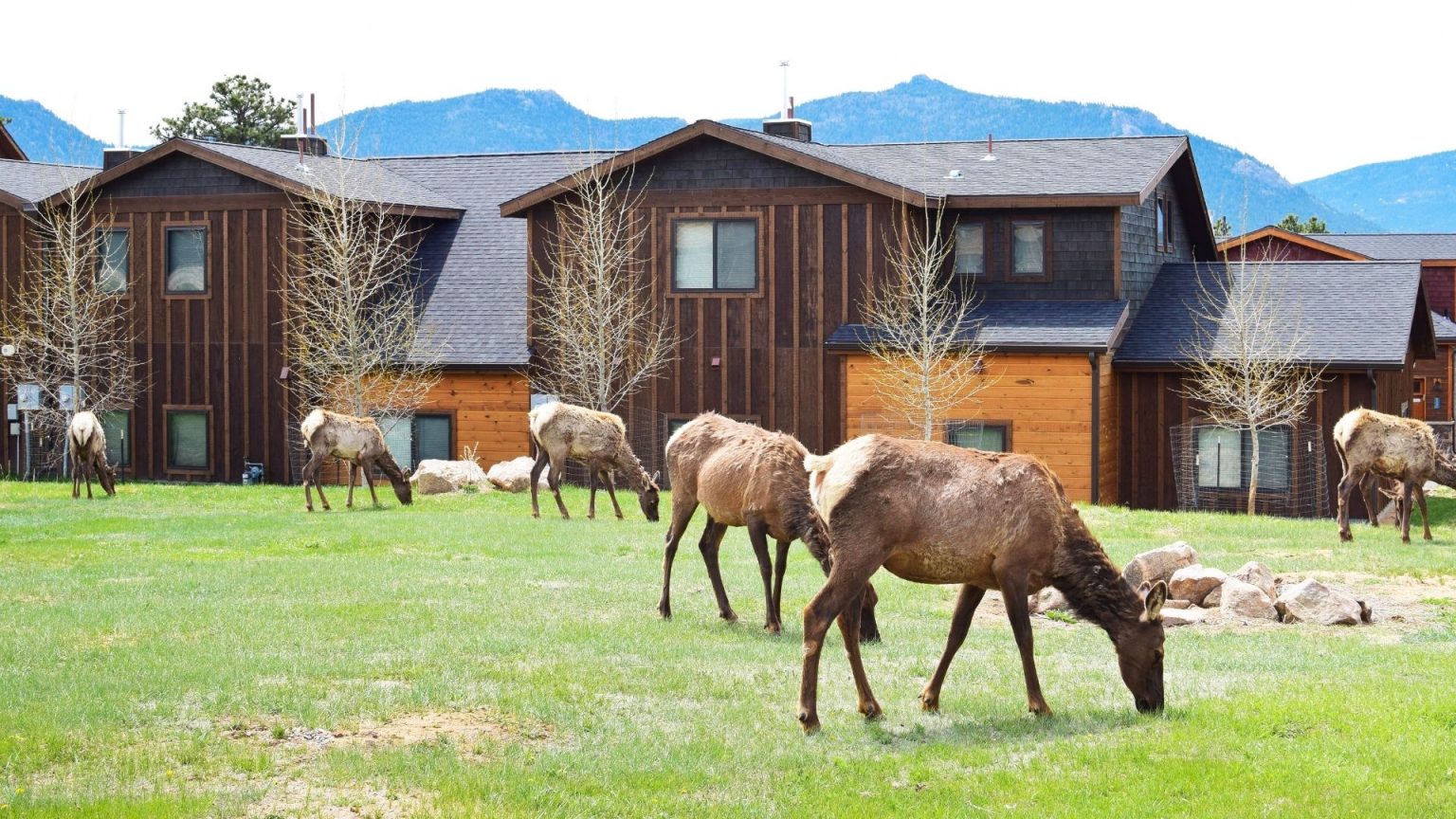 19 Fall Festivals Autumn Events To Visit In Colorado In October