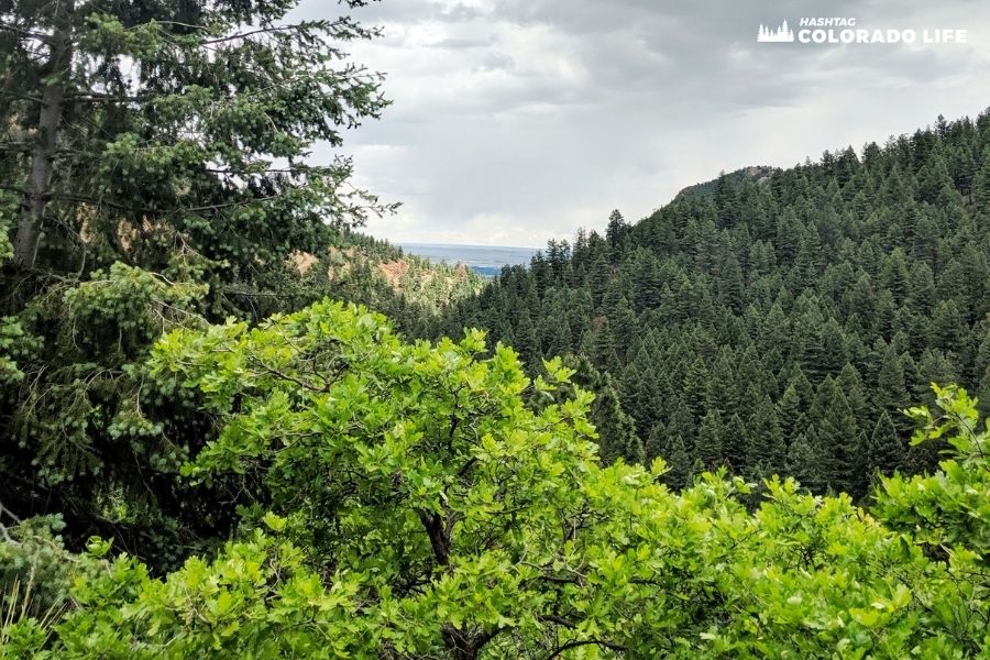 hiking seven bridges trail