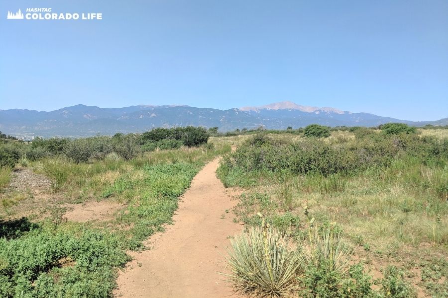 Hiking Palmer Park in Colorado Springs: 5 Insider Tips from a Local