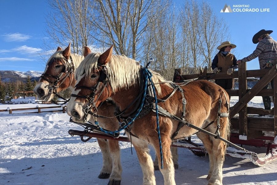 Dude Ranch Vacations: 9 Reasons to Visit a Colorado Guest Ranch