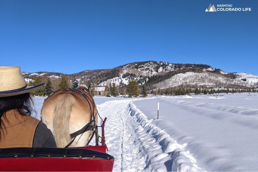 7 Best Winter Sleigh Rides in Colorado For All Ages