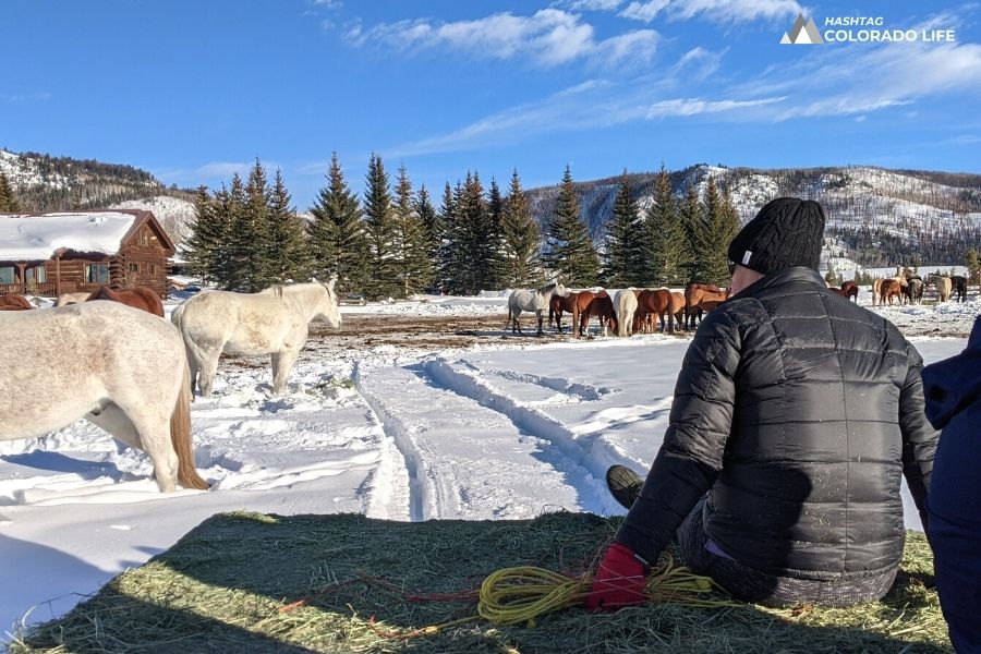 Vista Verde Ranch: Our All-Inclusive Romantic Getaway in Colorado