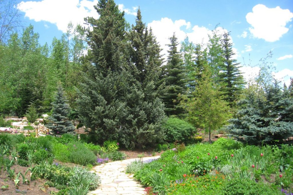 betty ford alpine gardens