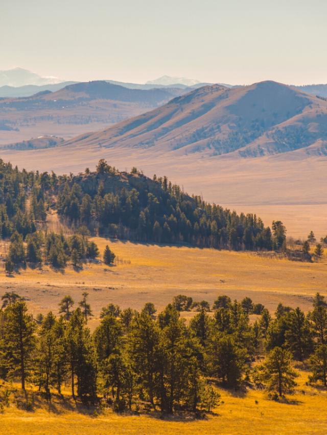 regret moving to colorado