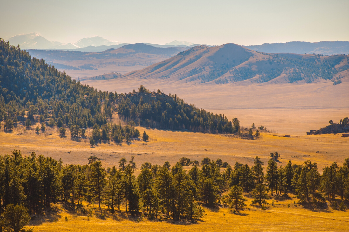 Don’t Regret Moving to Colorado: 11 Things You Might Hate (or Love)