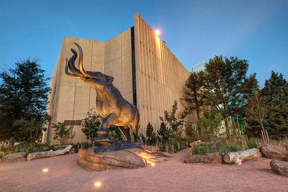 denver museum of nature science