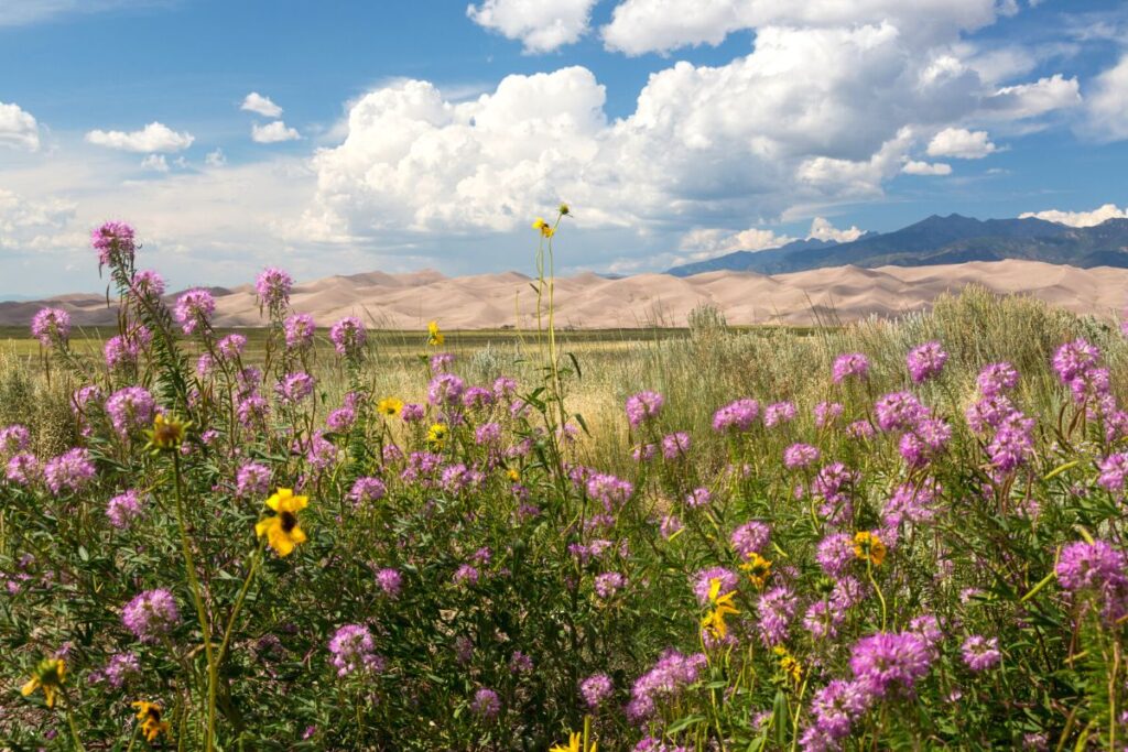 getting-to-the-great-sand-dunes